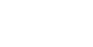 The Hindi Magazine Logo
